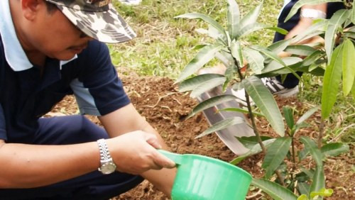 Musi Laufwasserkraft Projekt
